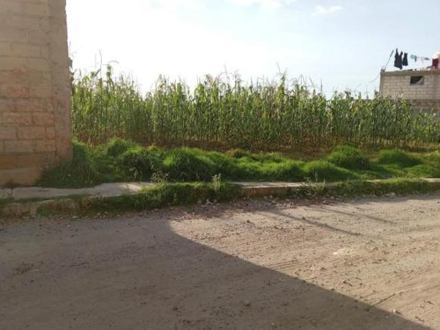Terreno en Cacalomacan