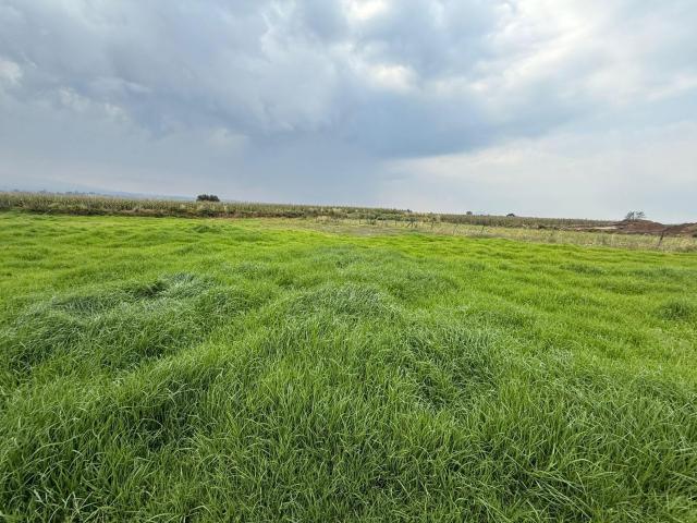 Terreno en Calimaya