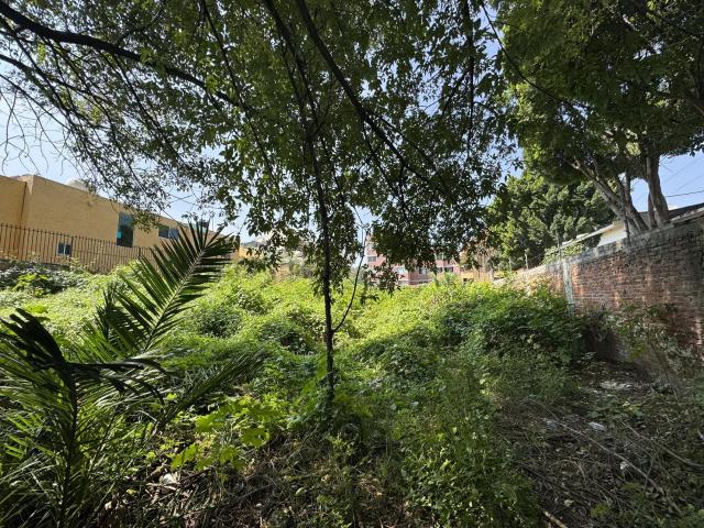 Terreno en Camichines Nueva Oriental Coapa, Tlalpan CDMX