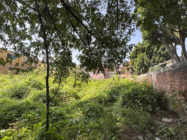Terreno en Camichines Nueva Oriental Coapa, Tlalpan CDMX