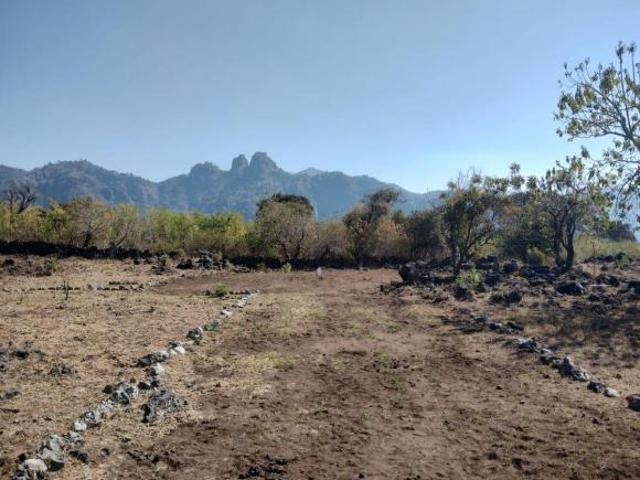 Terreno en camino Ocotitla