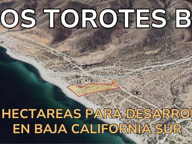 Terreno en Cardonal