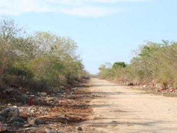 Terreno en Carr. Mérida Motul