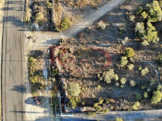 Terreno en Carretera a Dolores