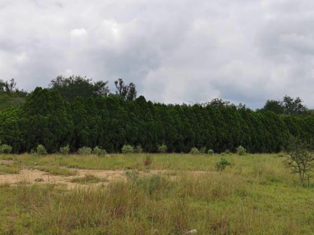Terreno en Carretera el Castillo Cadereyta