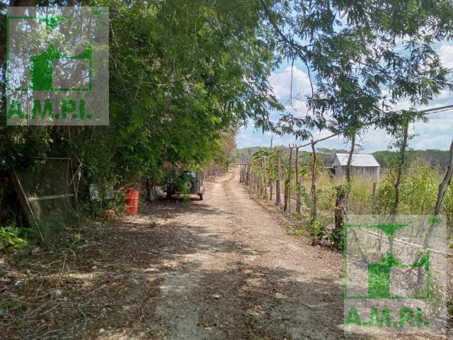 Terreno en Carretera Huayamon Edzna