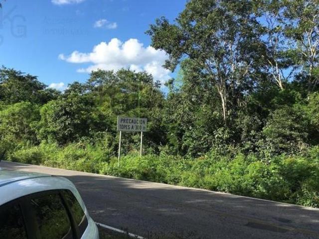 Terreno en Chichén Itzá, Mérida, Yucatán