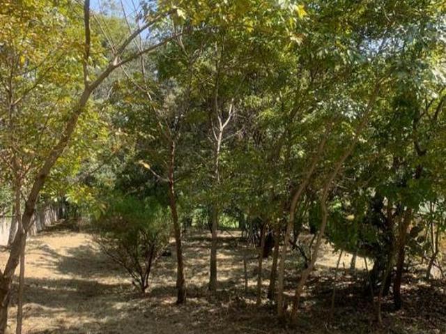 TERRENO EN CHILUCA $9,190,000 DE 625 M2. ATIZAPÁN DE ZARAGOZA. COLINDA CON EL GREEN