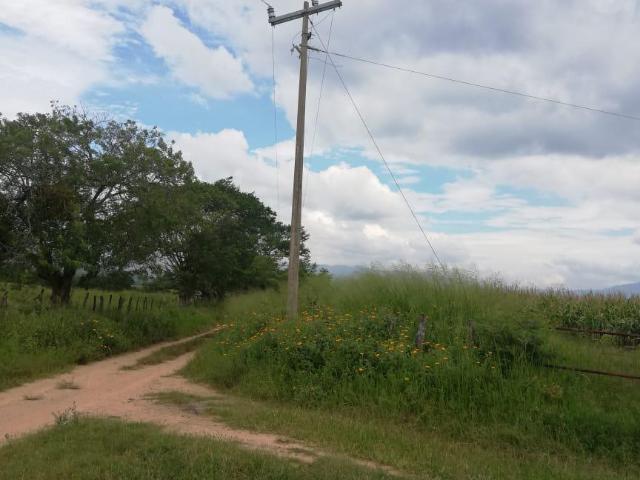 Terreno en cintalapa, chiapas