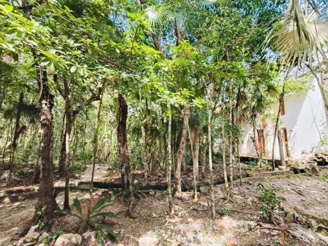 Terreno en Ciudad Chemuyil
