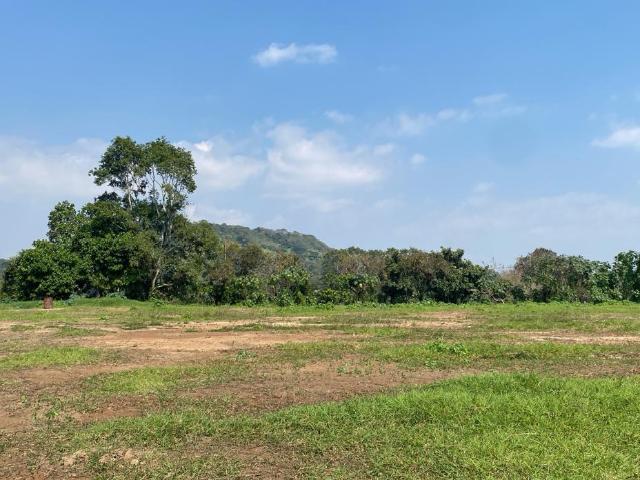 Terreno en Coatepec