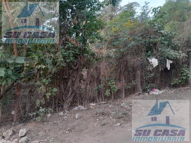 Terreno en Col. Nueva Revoluci?n