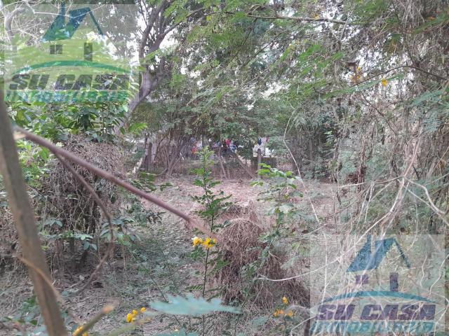 Terreno en Col. Nueva Revoluci?n
