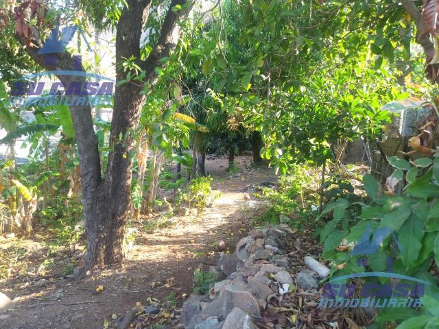 Terreno en Col. Popular, Acapulco