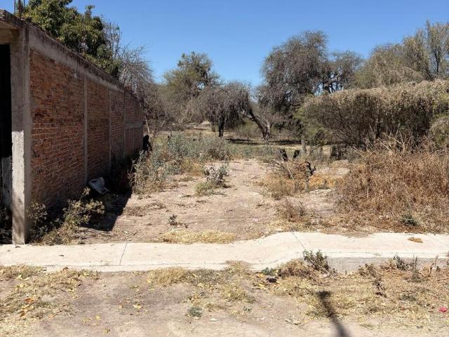 Terreno en Colonia Miguel Hidalgo
