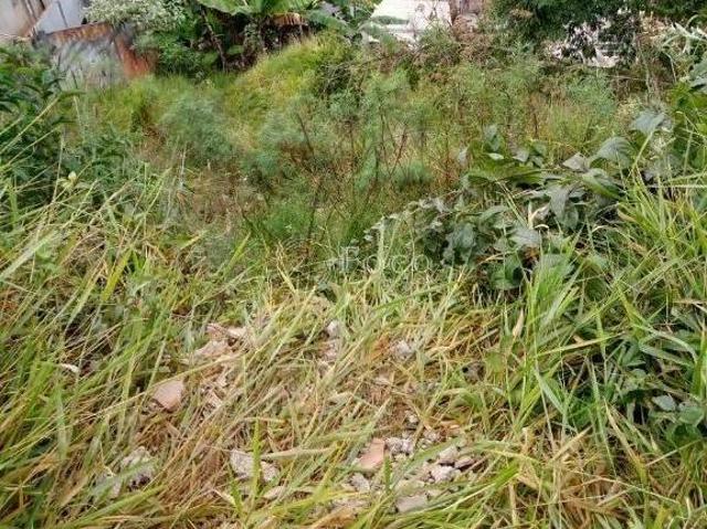 Terreno en Condomínio para venda em Jardim Vassouras Ii de 250.00m²