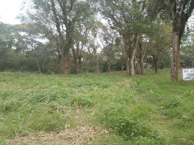 Terreno en Consolapan