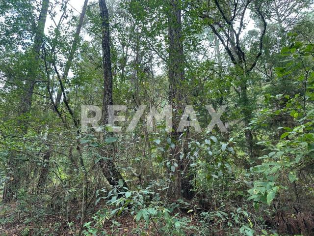 Terreno en Corral de Piedra en venta