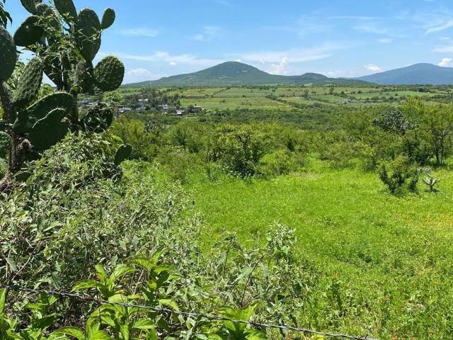 Terreno en Corregidora