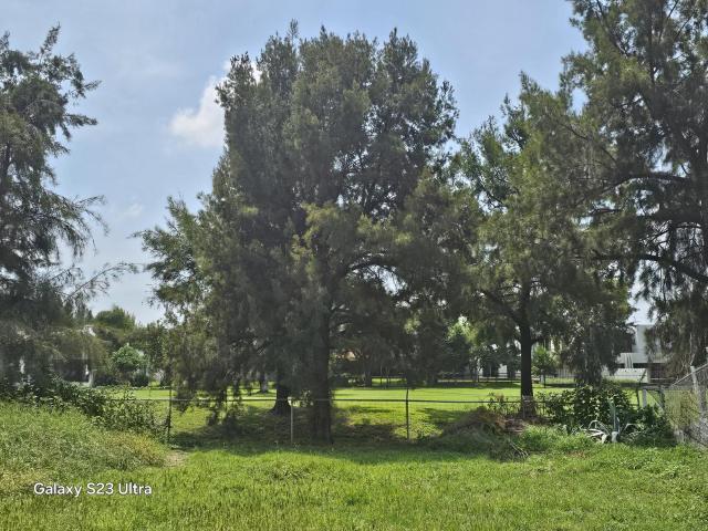 Terreno en Country Club de Golf los Naranjos