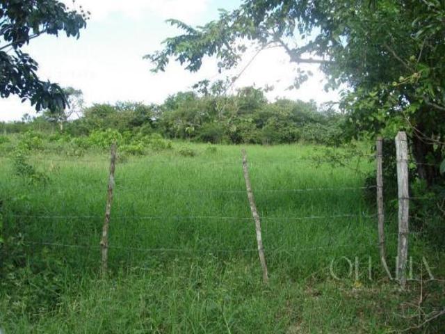 Terreno en Dzilam de Bravo