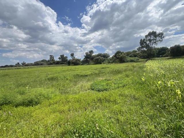 Terreno en Exhacienda Santa Águeda