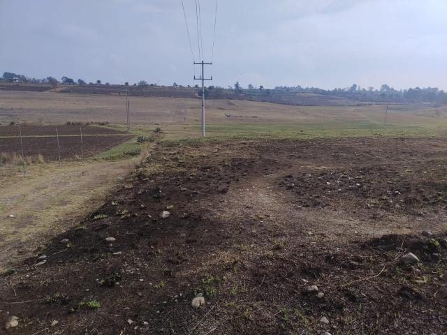 Terreno en ejidal en venta