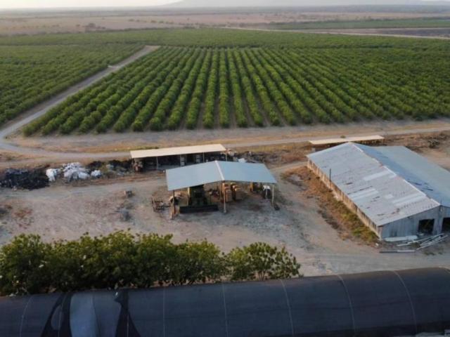 Terreno en Ejido Graciano Sanchez, Gonzalez