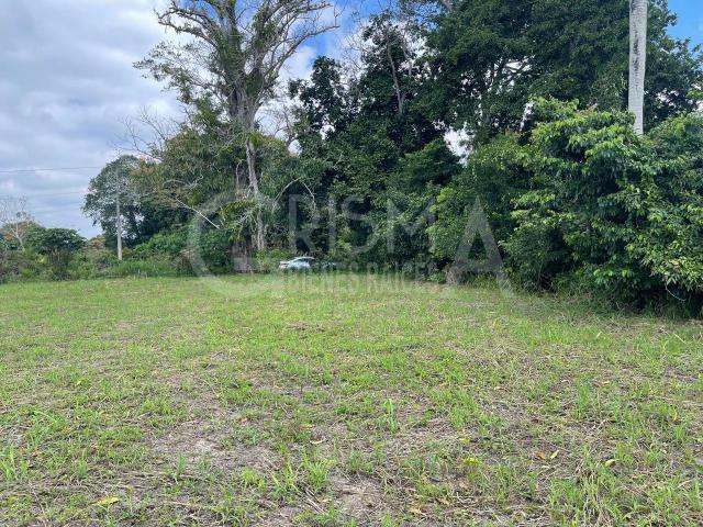 Terreno en Ejido Isla de Juana Moza en Venta