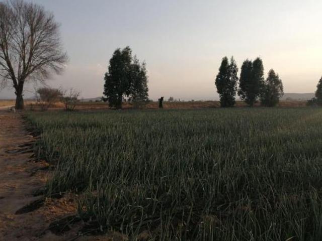 Terreno en Ejidos Tequisquiapan Querétaro