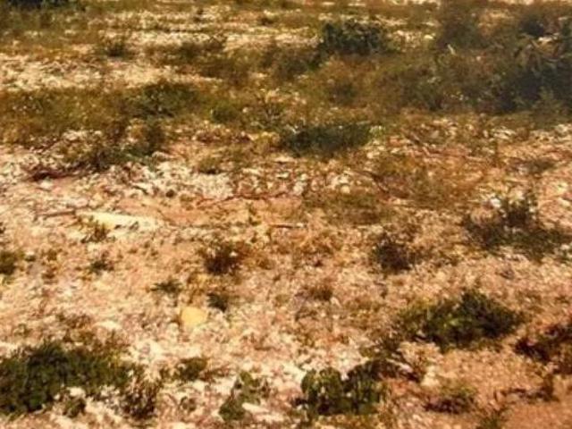 Terreno en El Mirador en VENTA