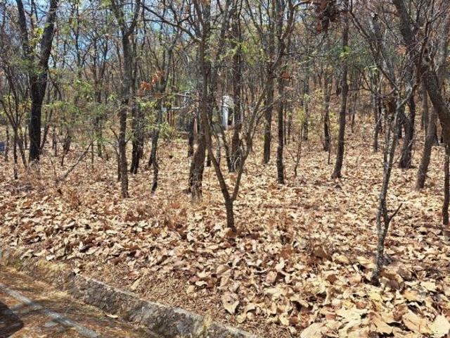 Terreno en El Arenal Jal. Reserva de Los Encinos