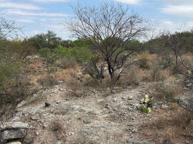 Terreno en El Carmen