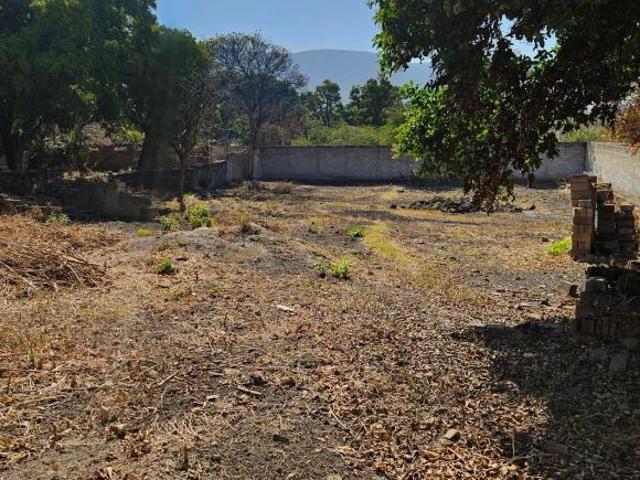 TERRENO EN EL CENTRO DE EMILIANO ZAPATA MOR