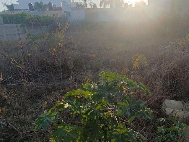 Terreno en el Colli Urbano