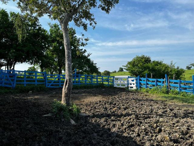 Terreno en El Corozal