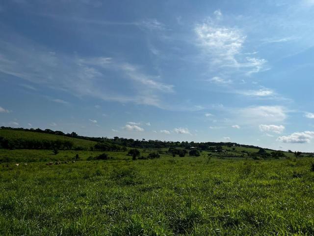 Terreno en El Corozal