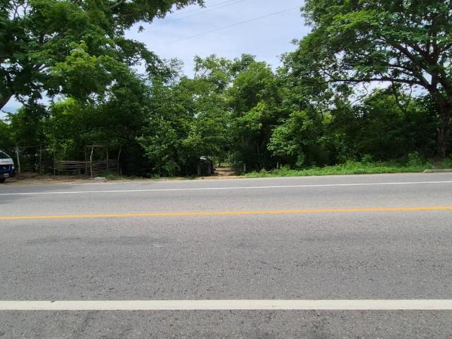 Terreno en el Ejidal, Localidad de San Antonio