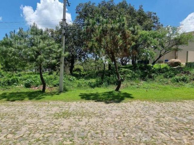 TERRENO EN EL FRACCIONAMIENTO EL ROBLE