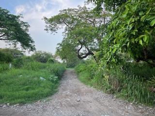 Terreno en El Higo Centro