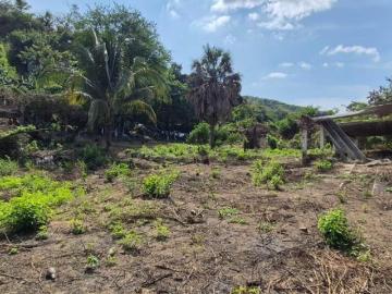 Terreno en el Quemado