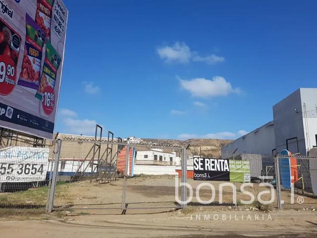 Terreno En El Sauzal Con Excelente Ubicación En RENTA