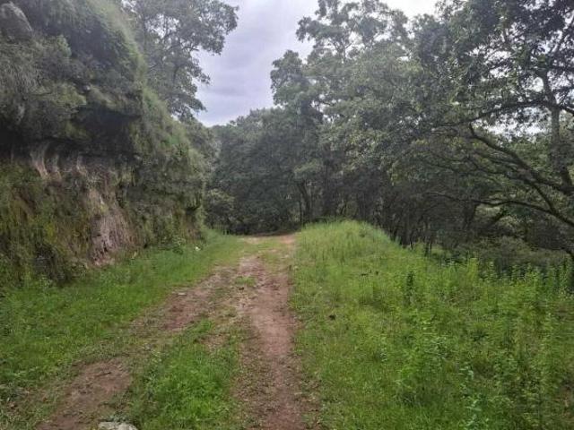 Terreno en El Terrero