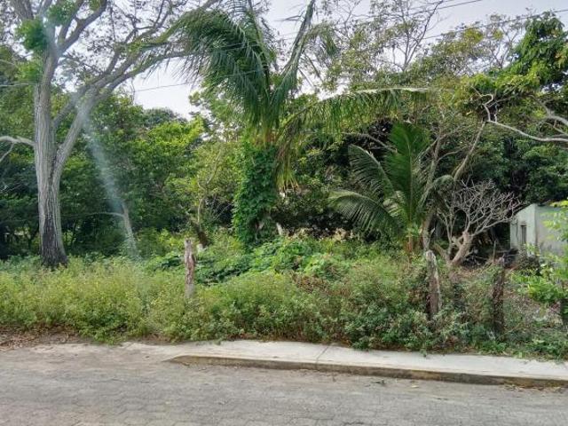 Terreno en El zapote en VENTA