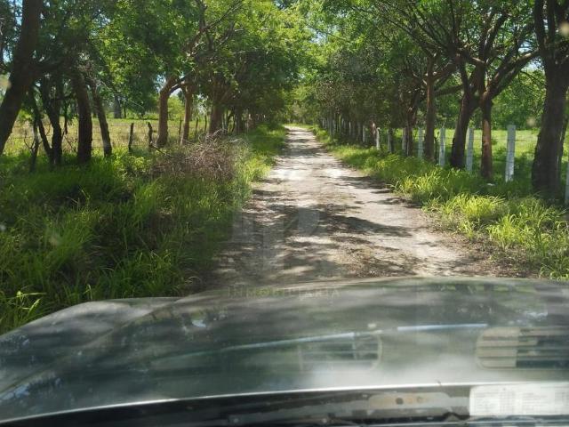 TERRENO EN EMILIANO ZAPATA VERACRUZ