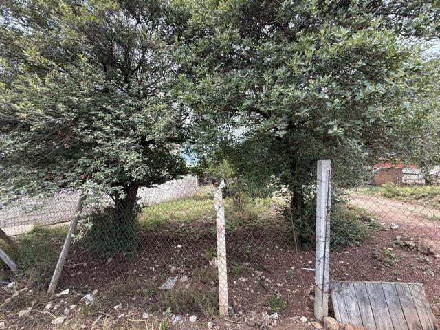 Renta de terreno en Jilotzingo, Esp?ritu Santo