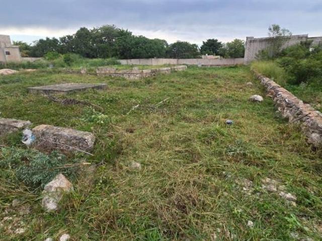 Terreno en Francisco Villa Oriente