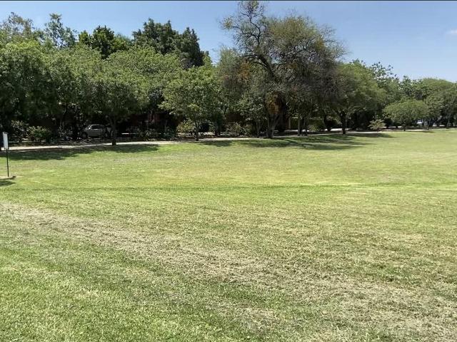 Terreno en Fracc. El Alamo