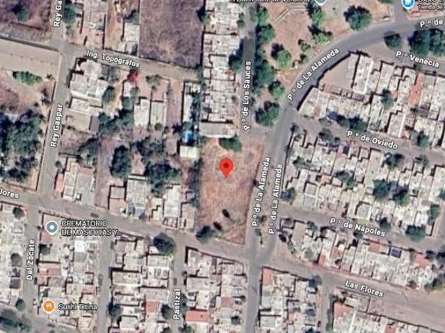 Terreno en Fraccionamiento Alameda
