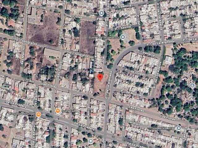 Terreno en Fraccionamiento Alameda